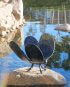 Steelsmith dragonfly hand crafted blacksmith australia